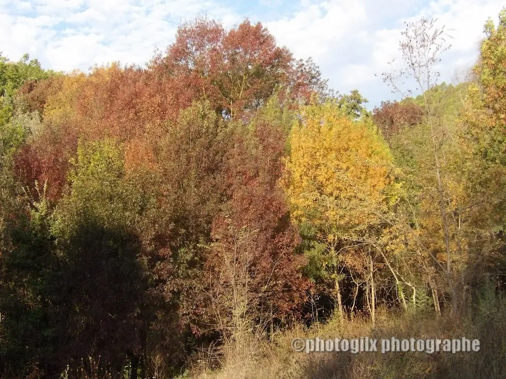automne var