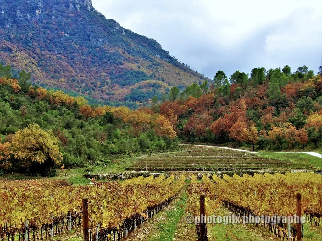 automne var