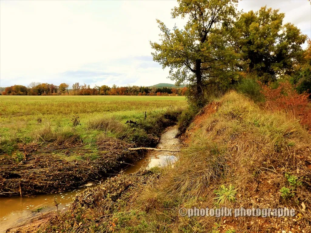 automne var