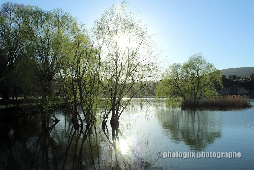 paysage var