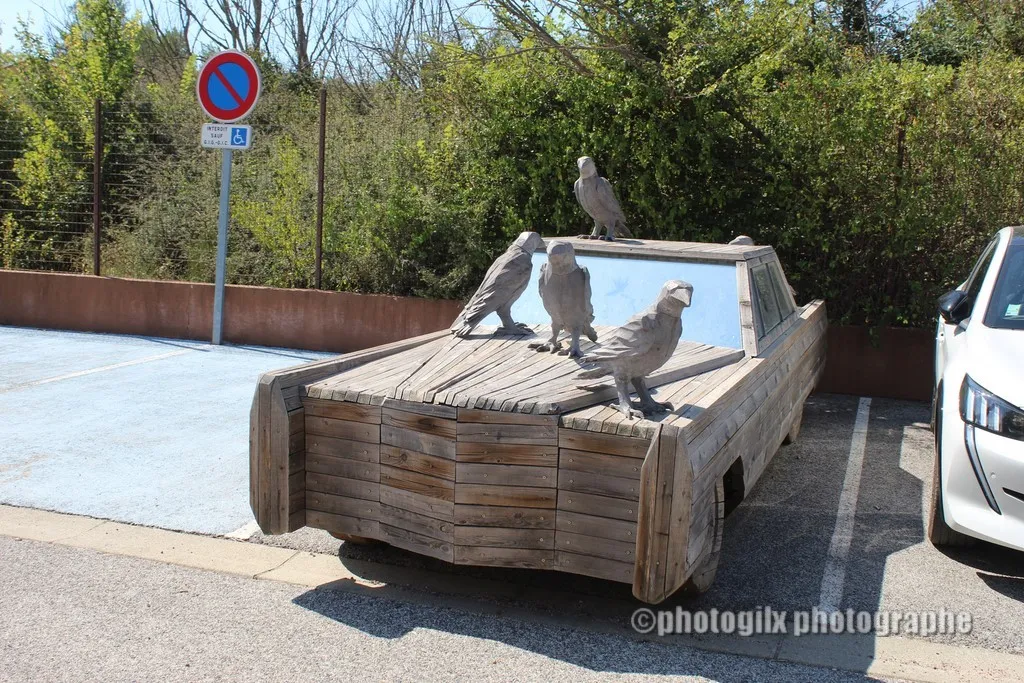 insolite var