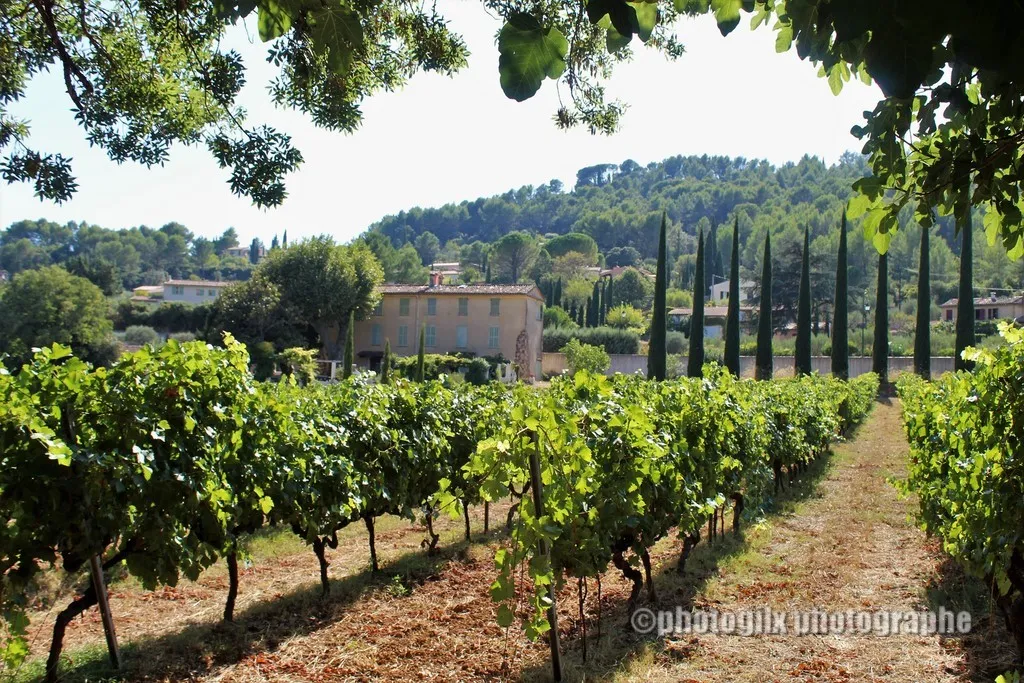 paysage var