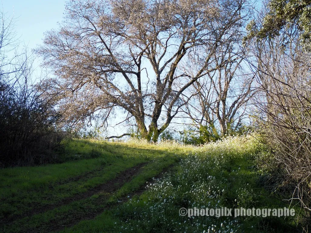 paysage var