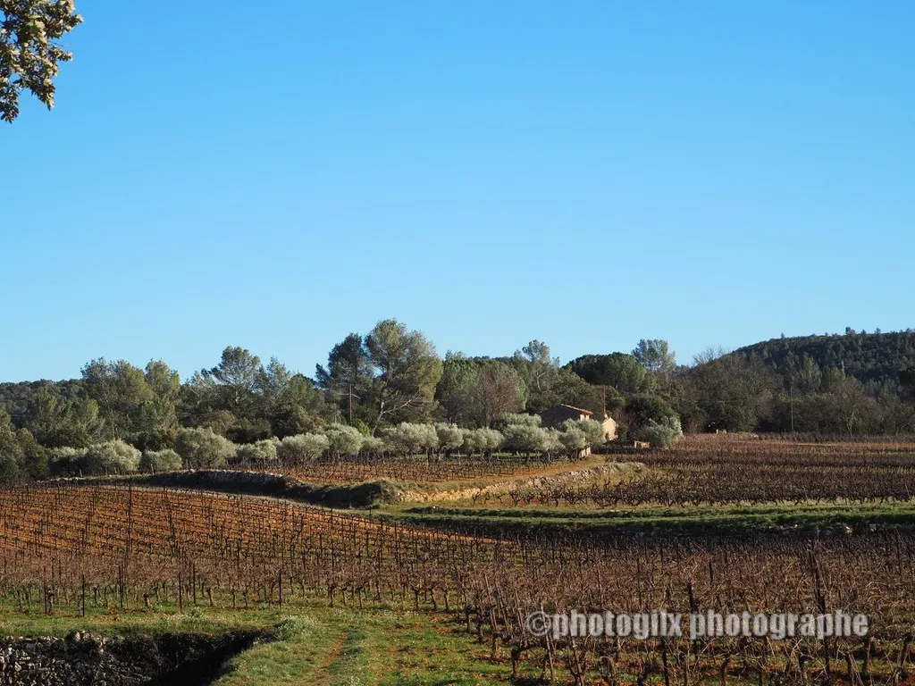 paysage var