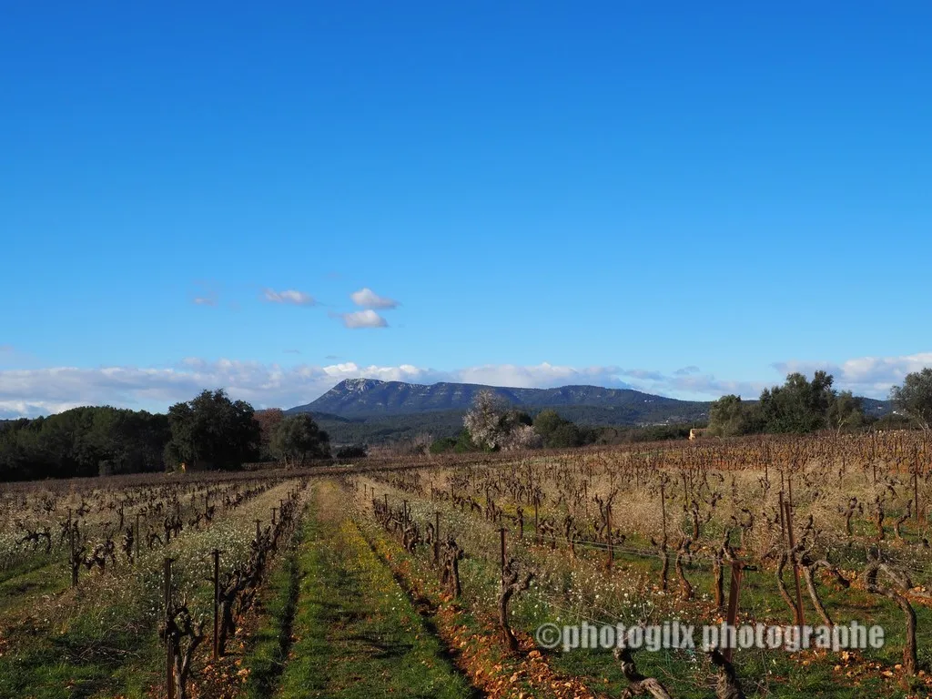 paysage var