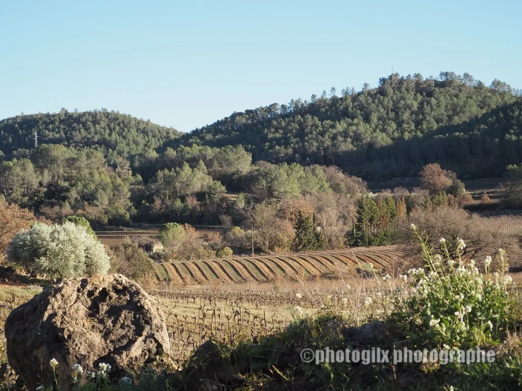 paysage var