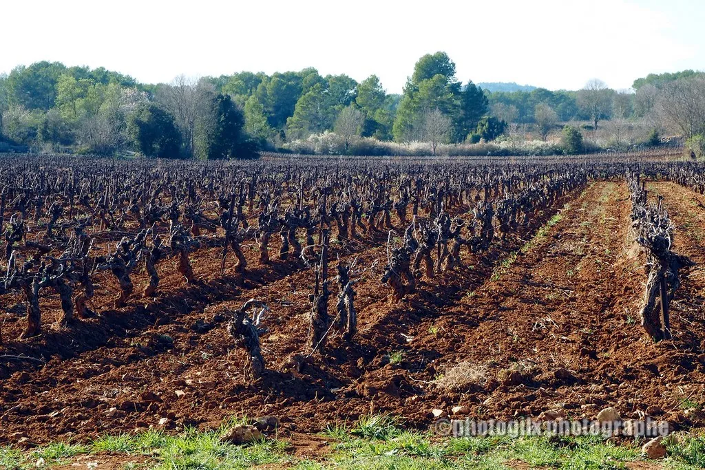 paysage var
