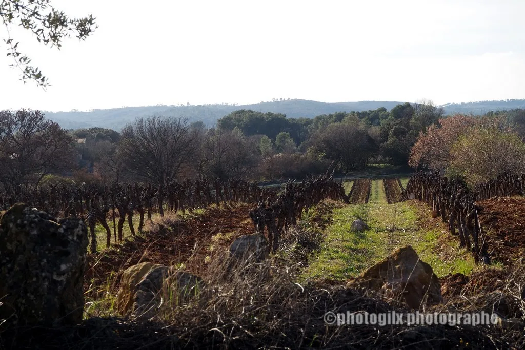 paysage var