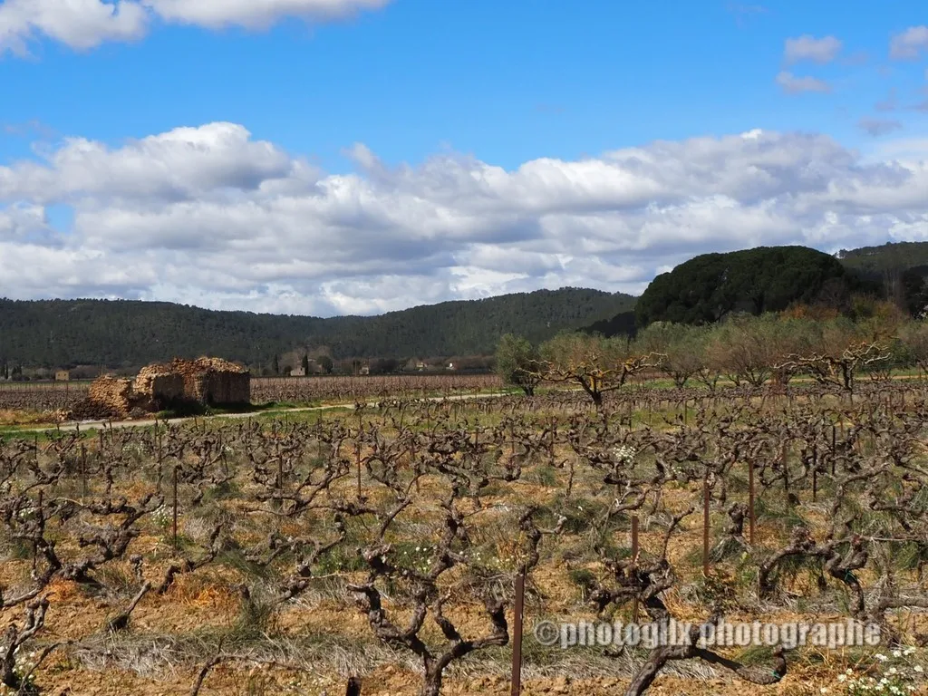 paysage var