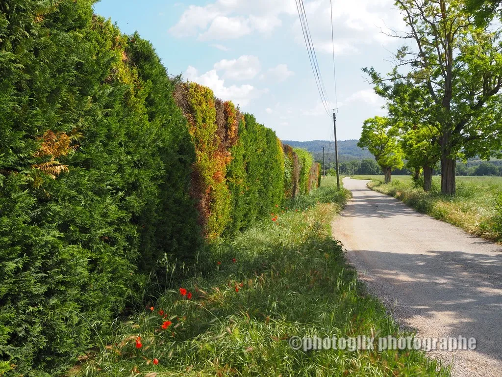 paysage var