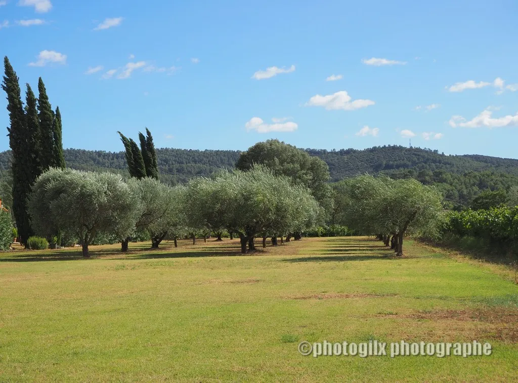 paysage var