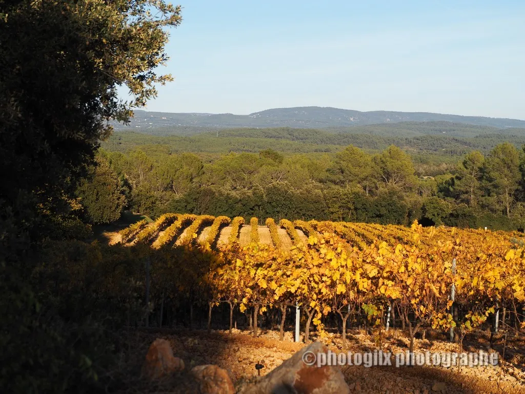 automne var