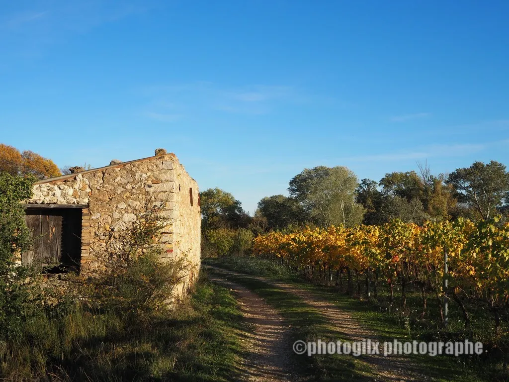 paysage var