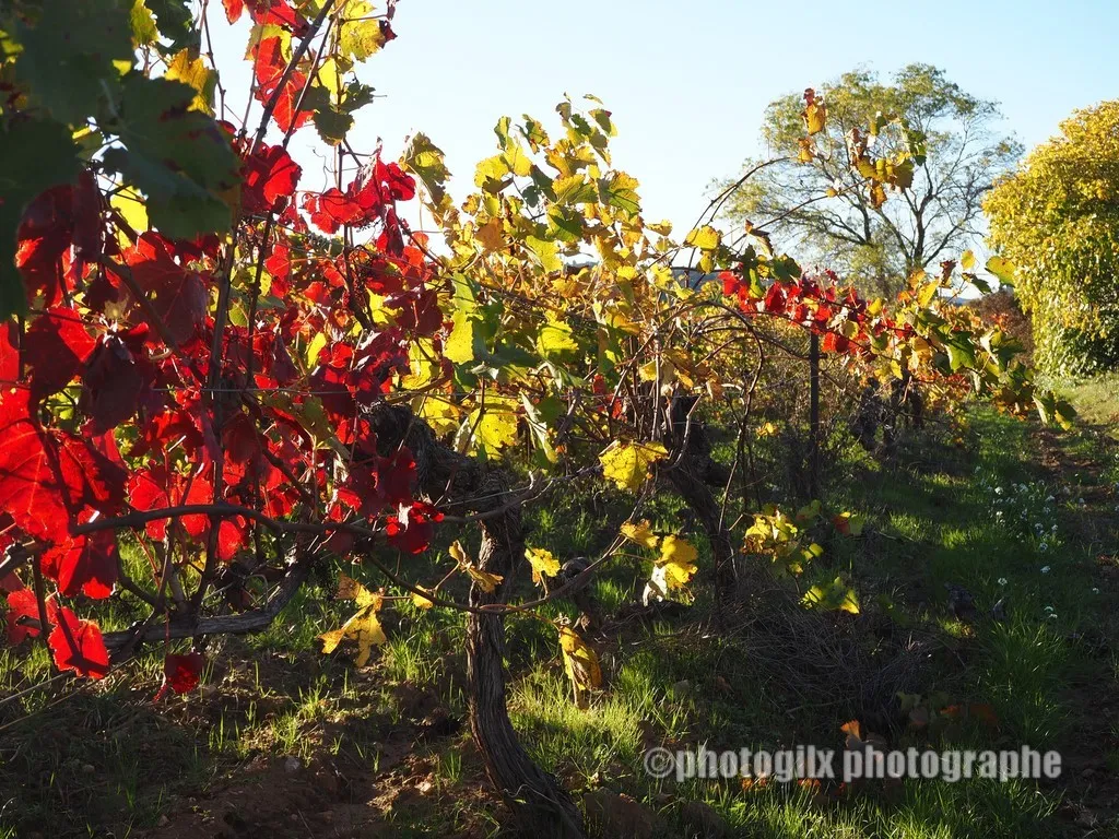 automne var