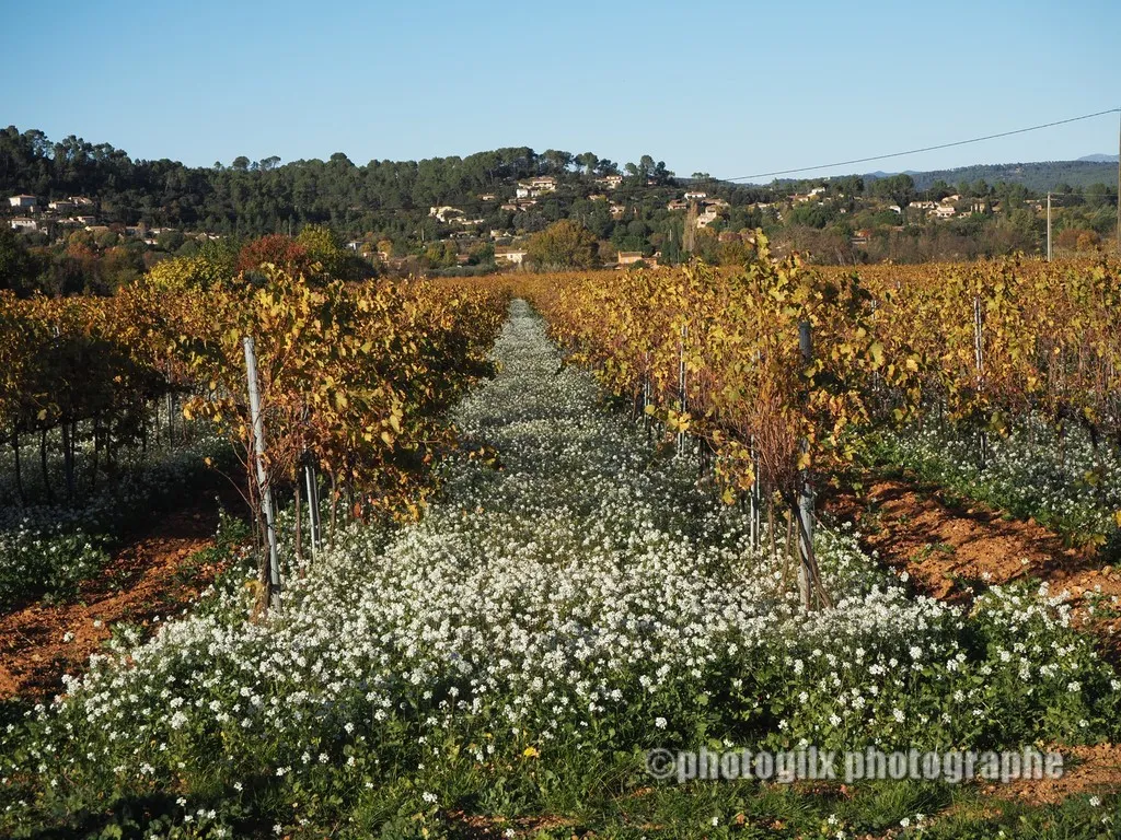 automne var
