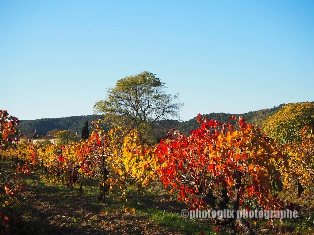 automne var