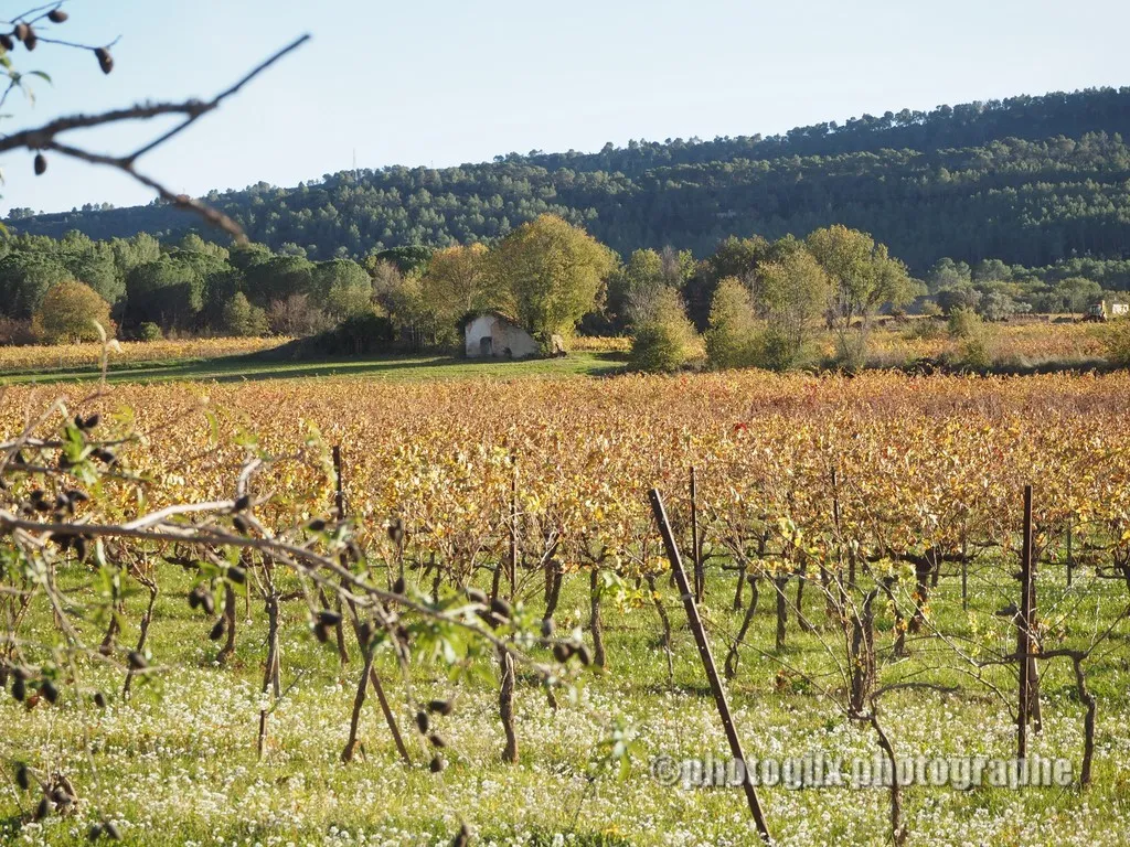 paysage var