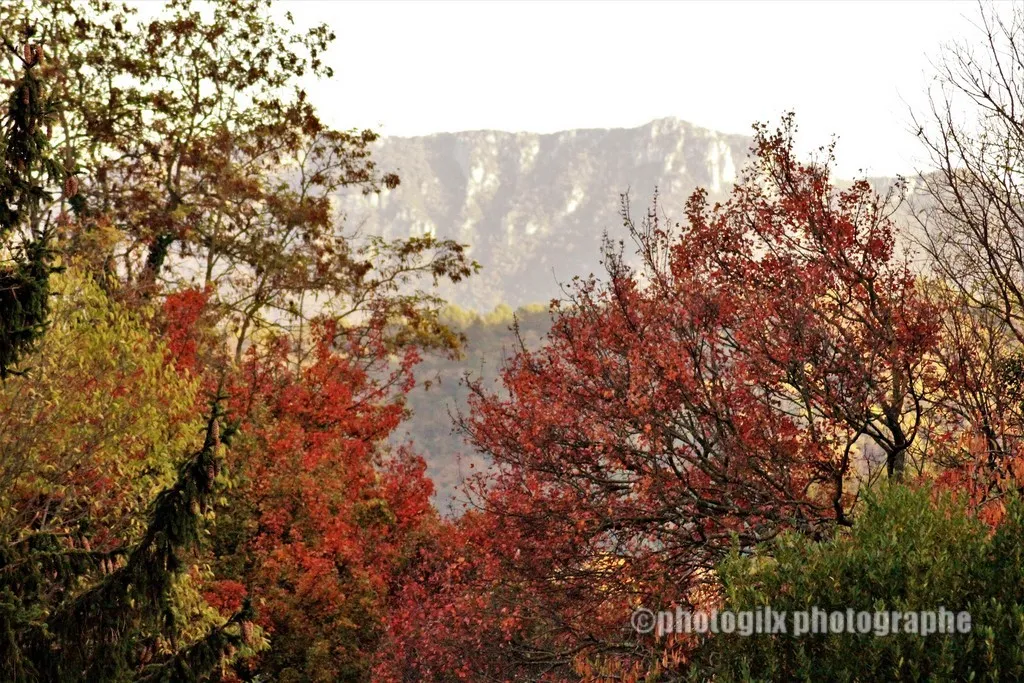 automne var