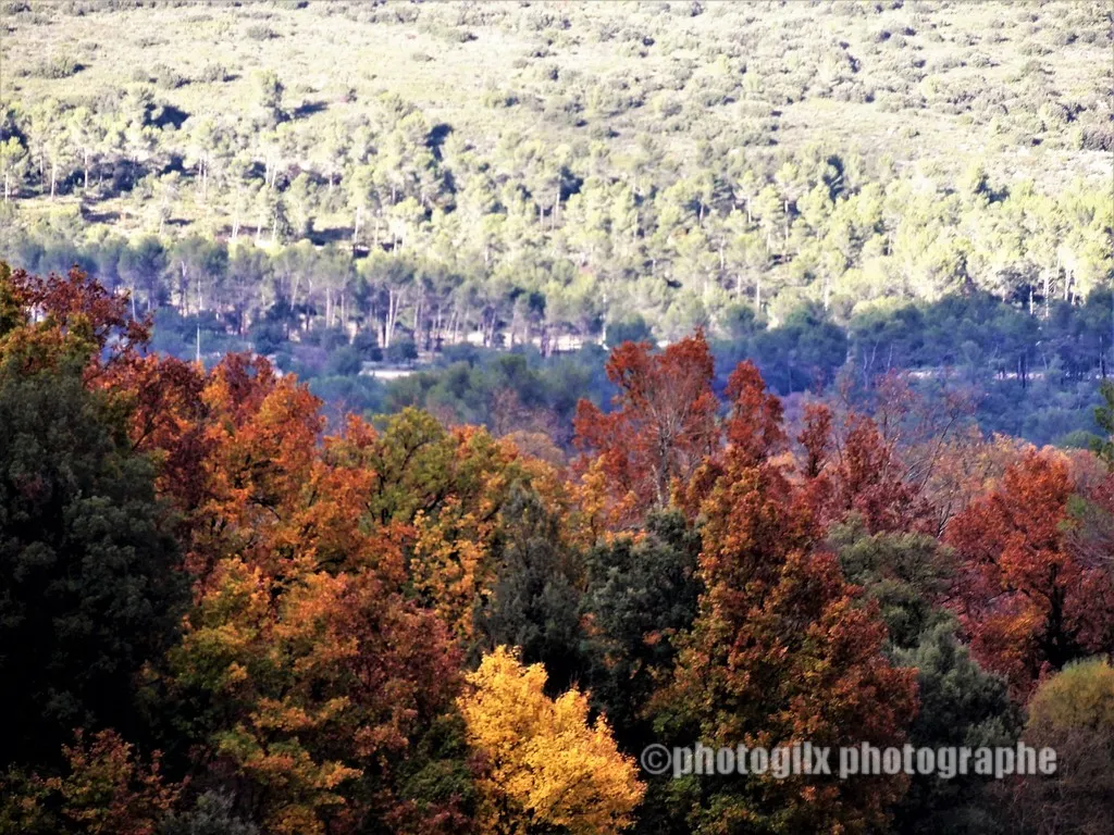 automne var