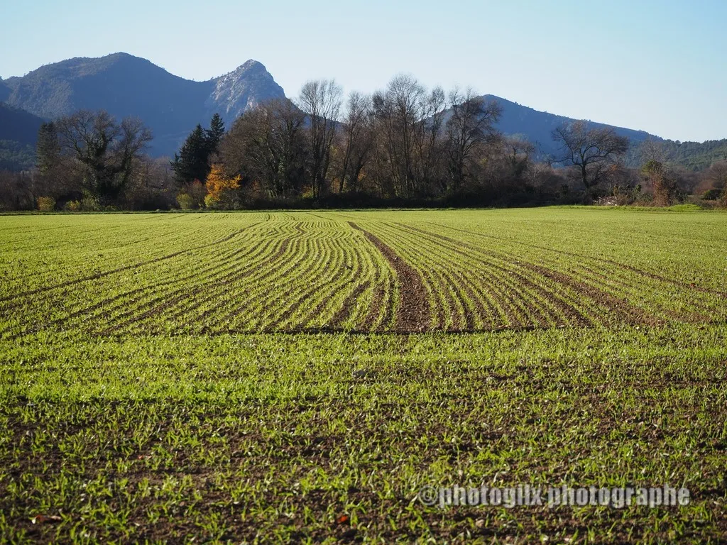 paysage var
