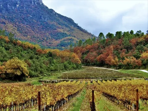 automne var