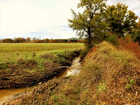 automne var