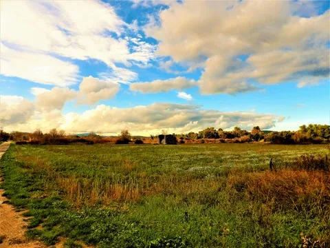 automne var