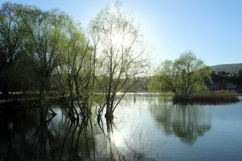 paysage var