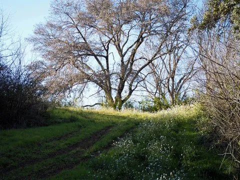 paysage var