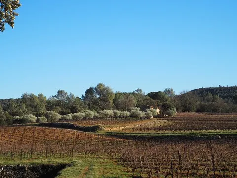 paysage var
