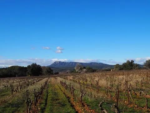paysage var