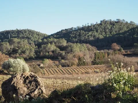 paysage var