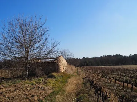 paysage var