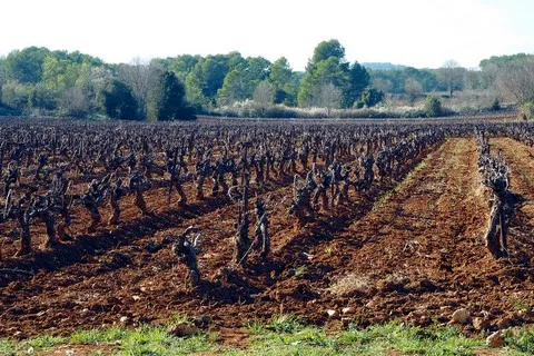 paysage var