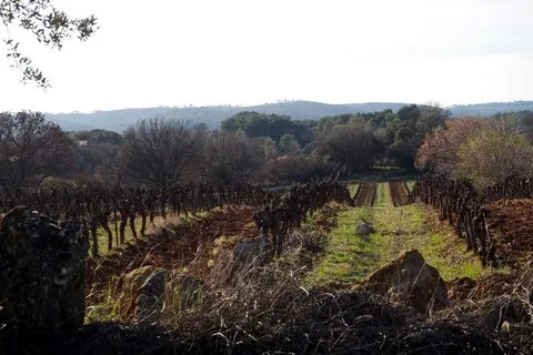 paysage var