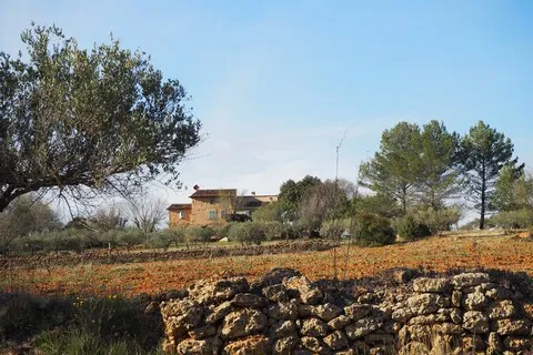 paysage var