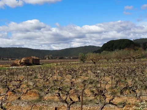 paysage var