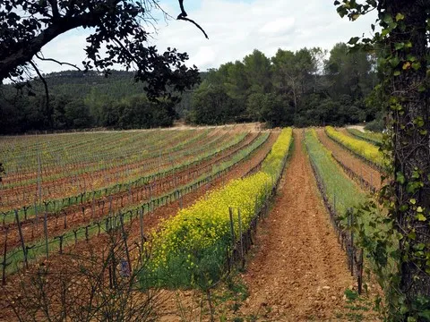 paysage var