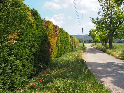 paysage var