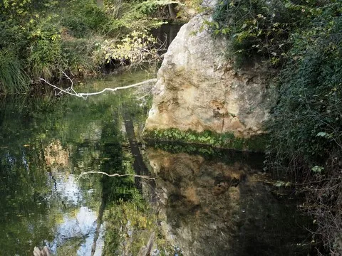 nature var