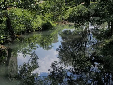 nature var