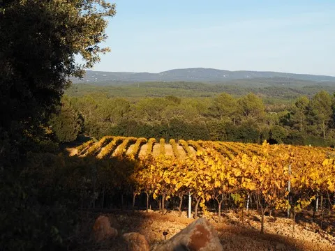 automne var