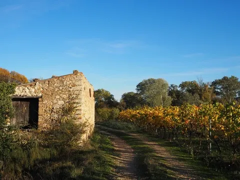 paysage var