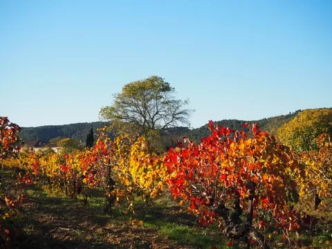 automne var