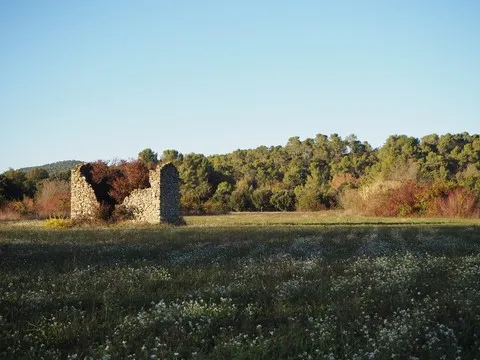 automne var