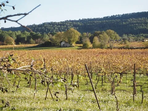 paysage var