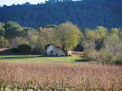 automne var