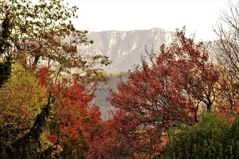 automne var