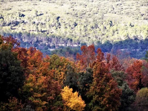 automne var