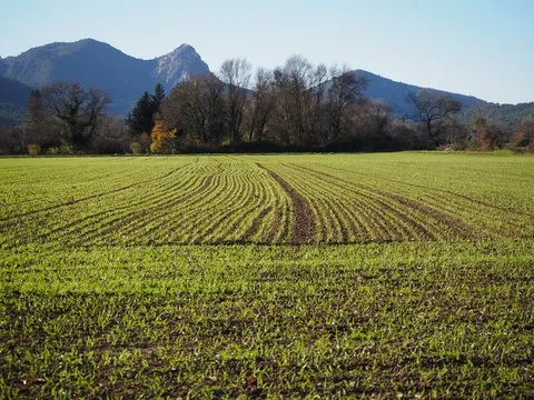 paysage var